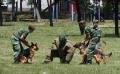 Exercise &quot;Joint Endeavour &quot; held